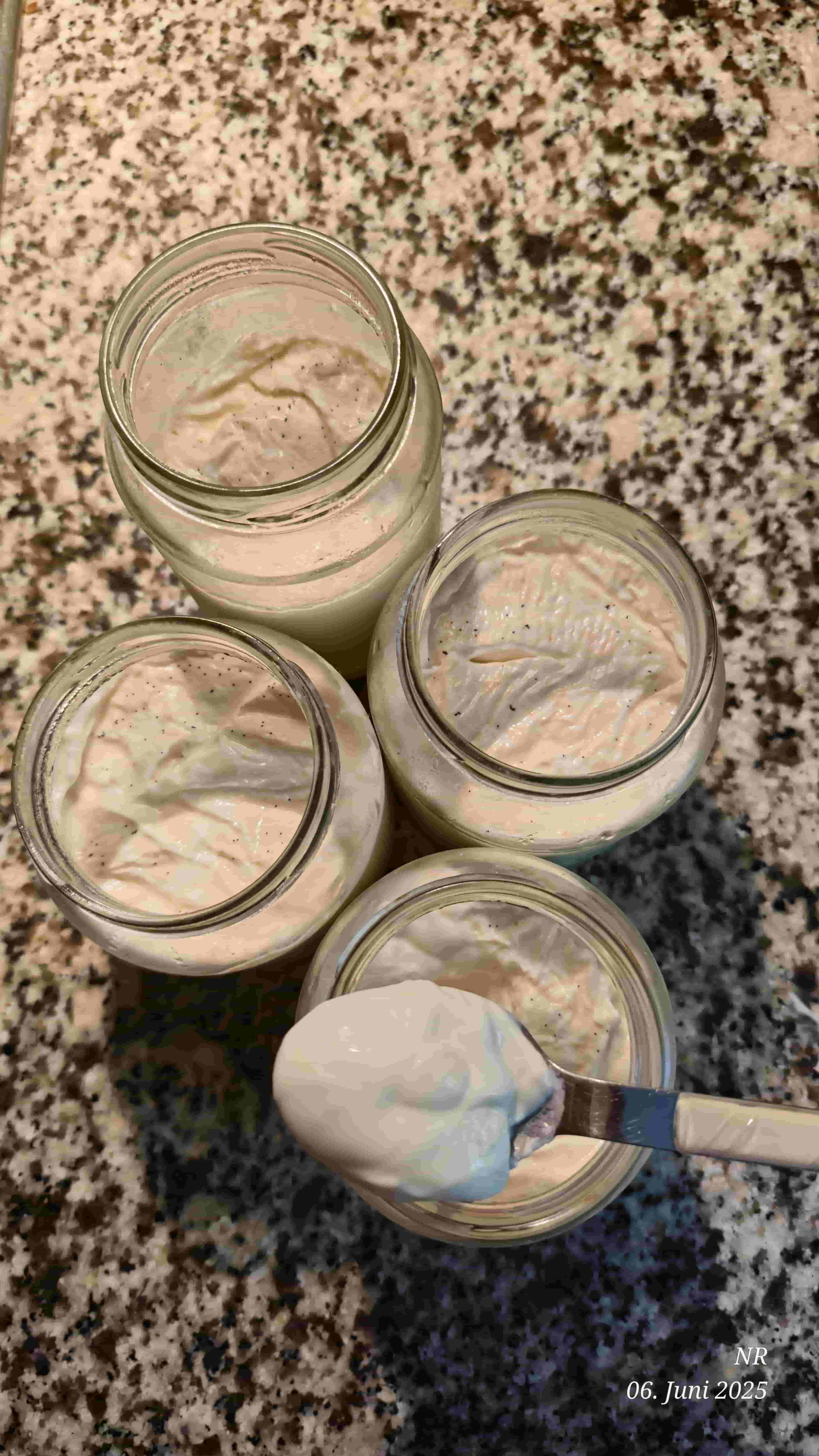 Homemade Vanilla Yogurt Recipe Image