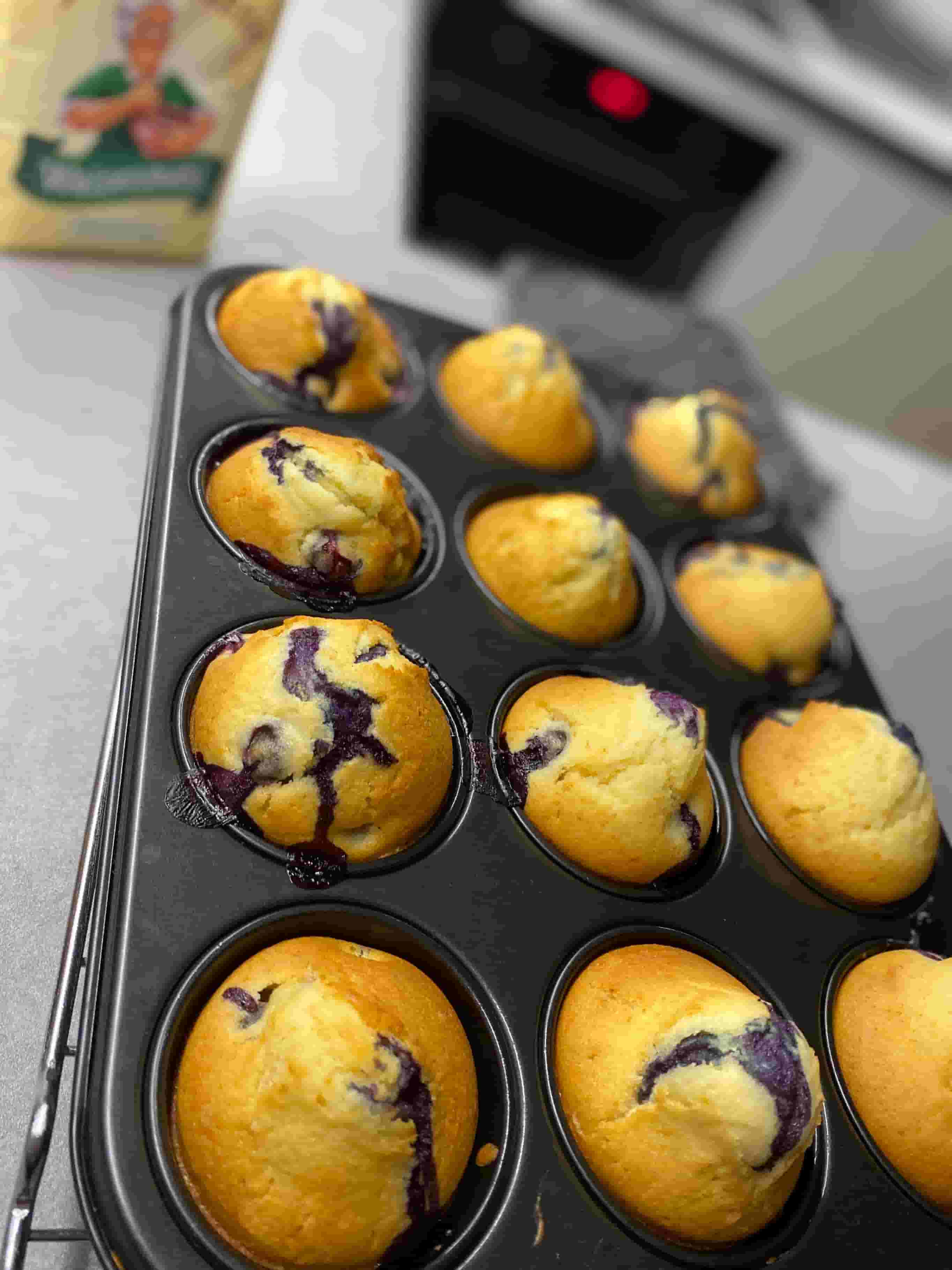 Muffinki Borówkowe Recipe Image