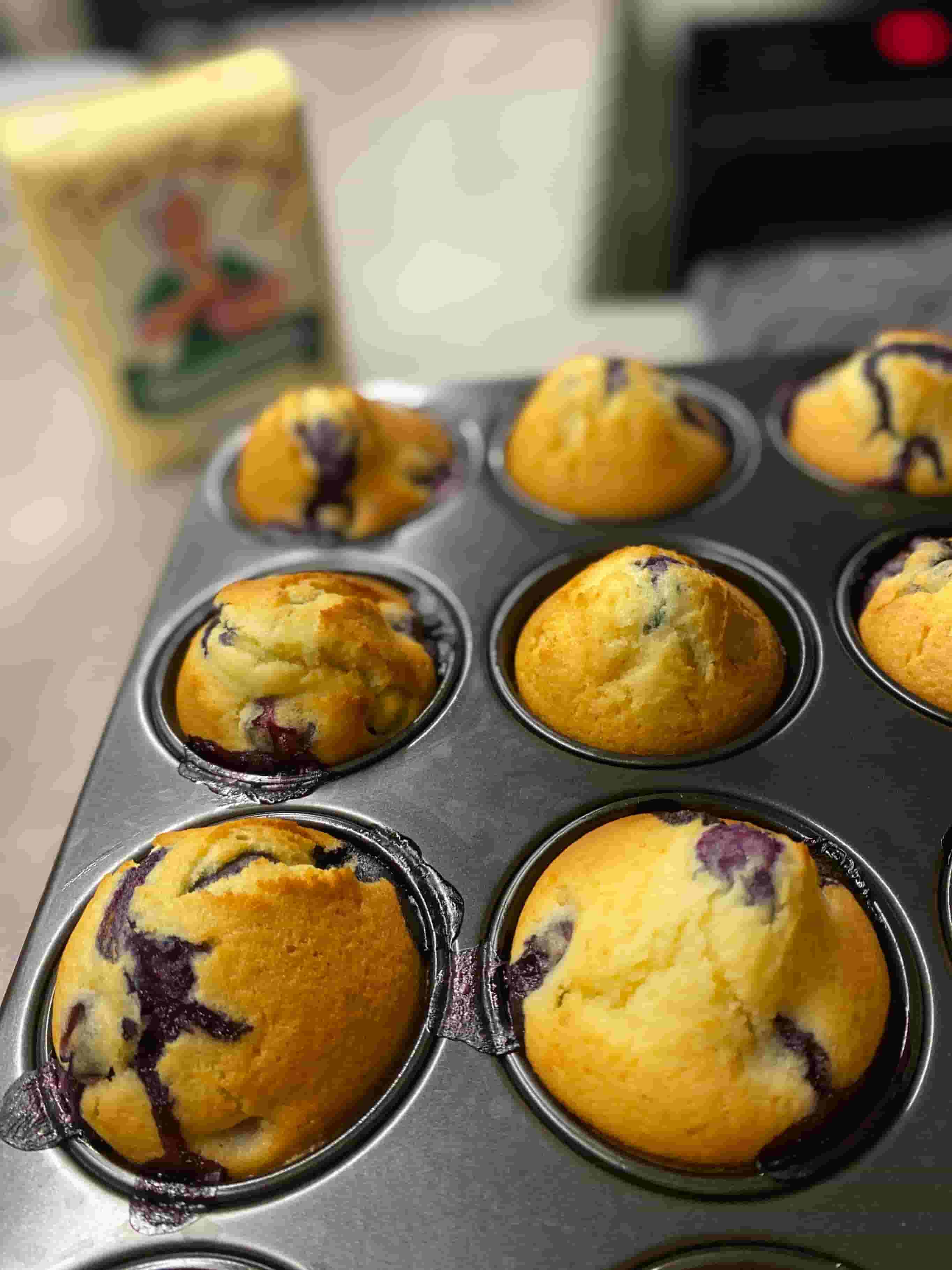 Muffinki Borówkowe Recipe Image