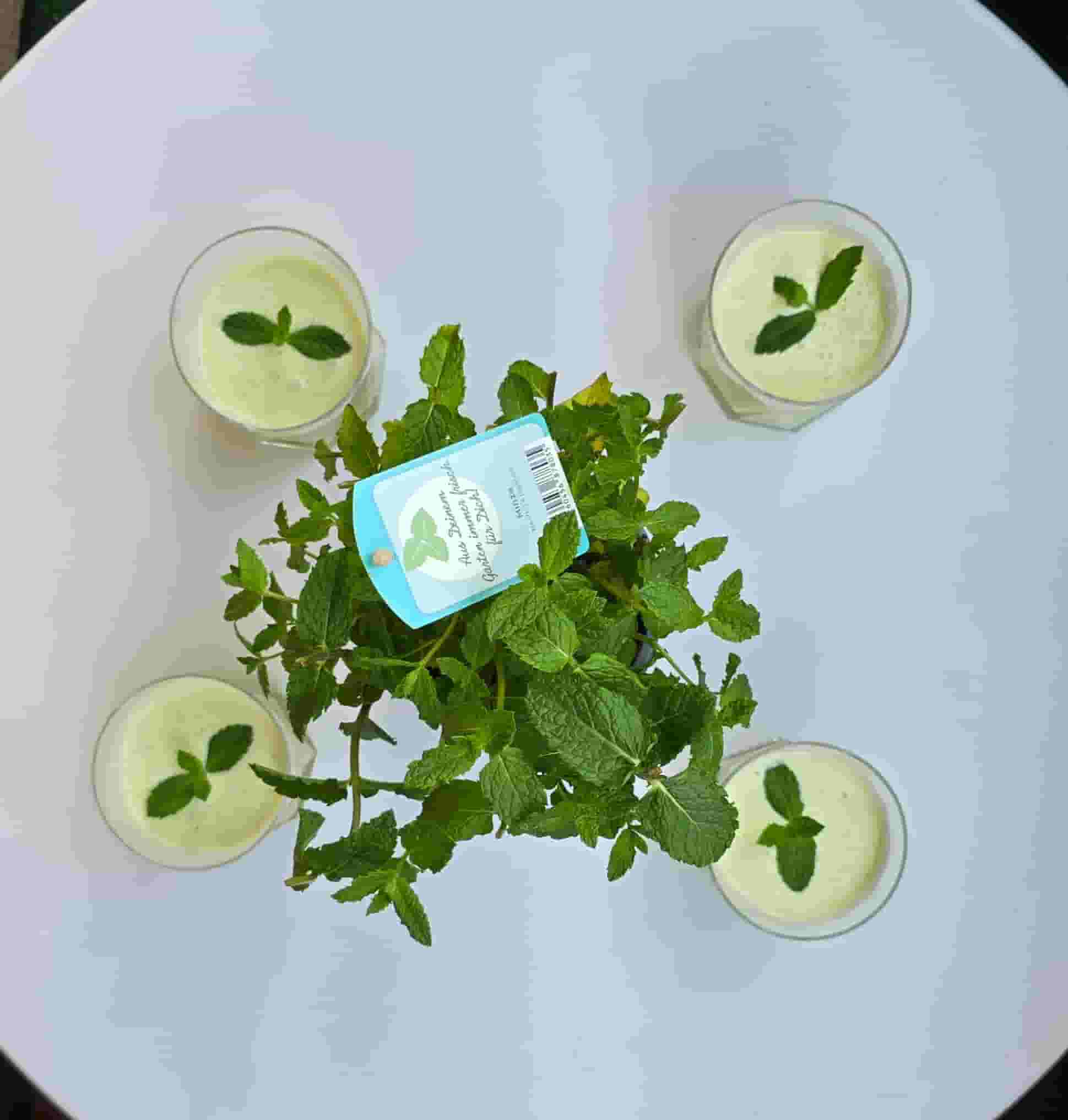 Refreshing Pineapple Coconut Mint Drink Recipe Image