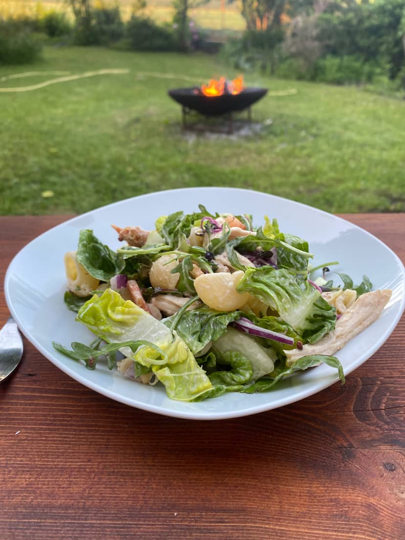 Grilled Chicken Pasta Salad Rocely Recipe