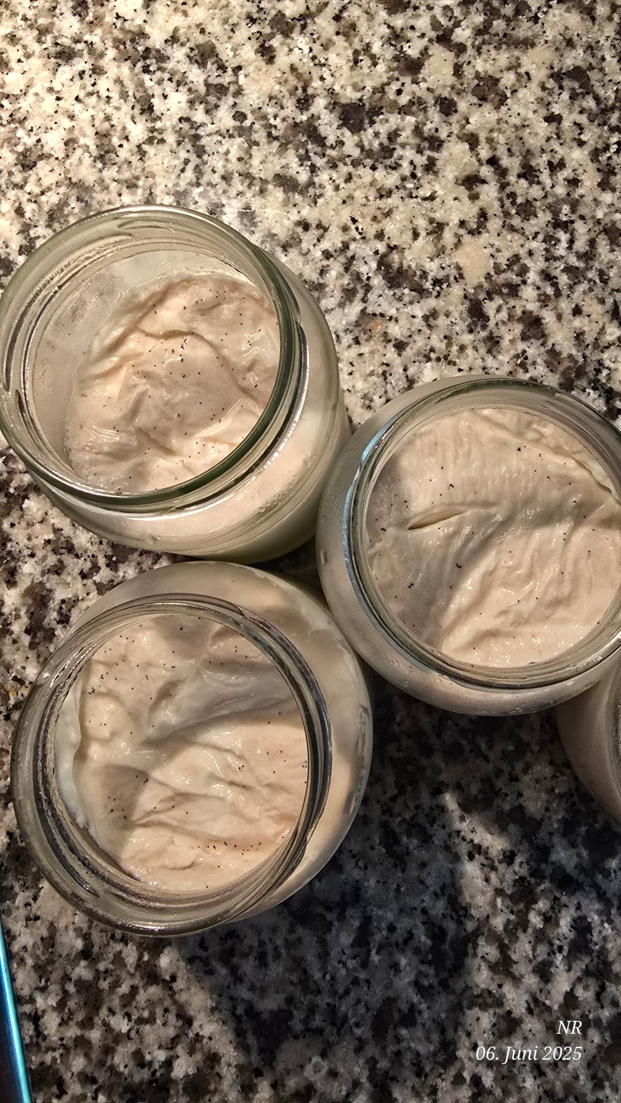 Selbstgemachter Vanille-Joghurt Recipe Image