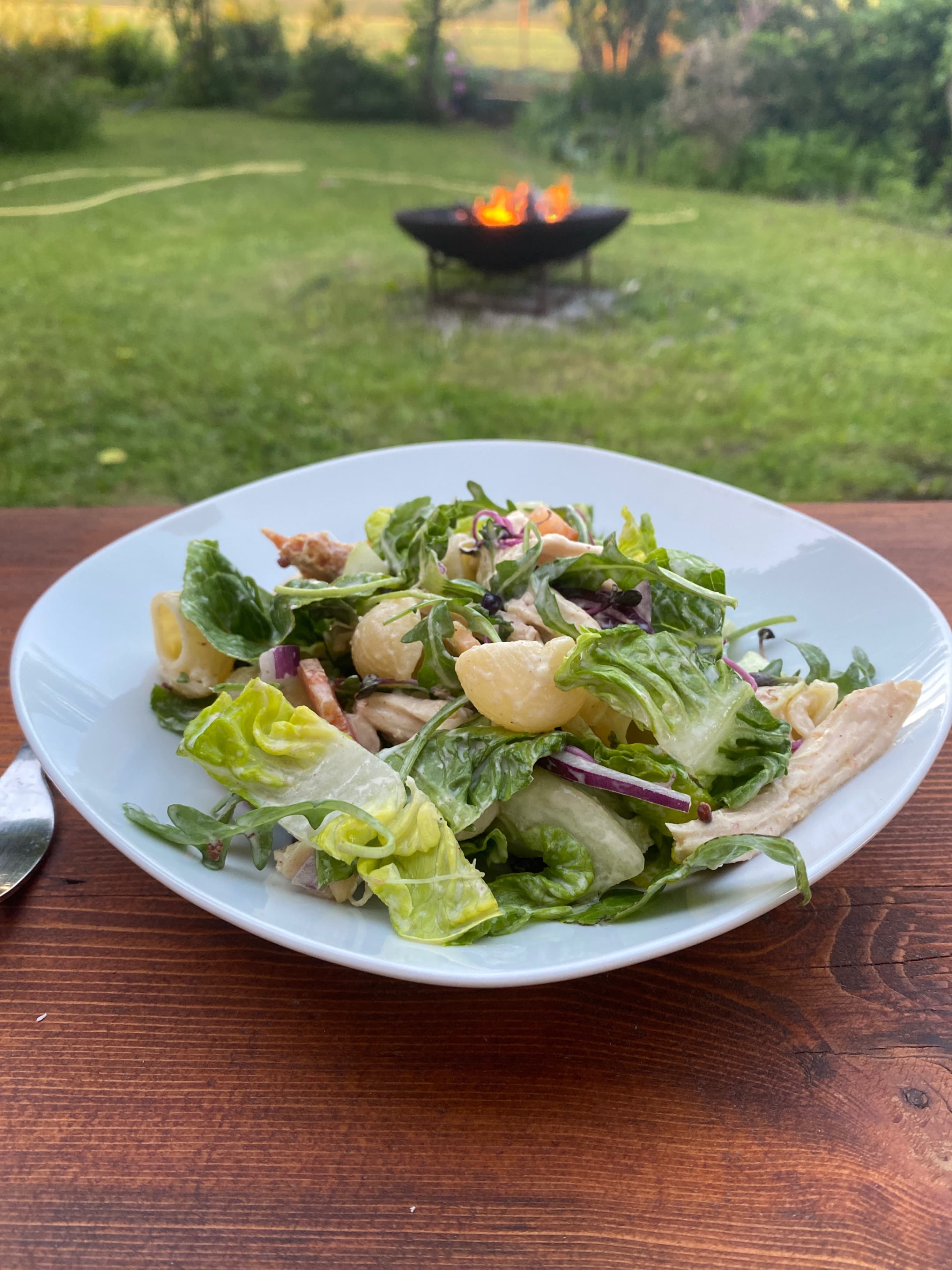 Grilled Chicken Pasta Salad Rocely Recipe