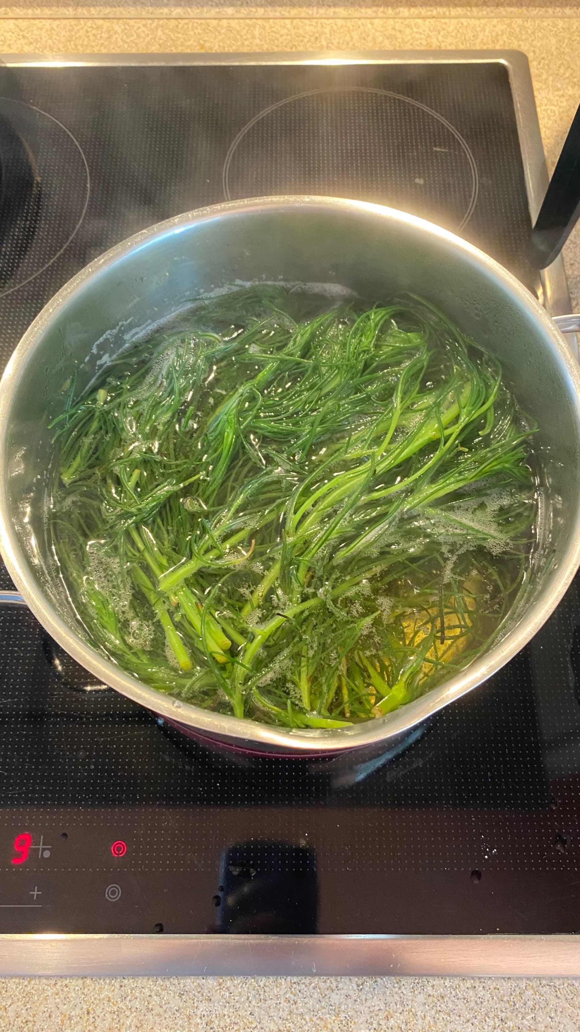 Mönchsbart mit Kartoffeln und Spiegelei Recipe Image