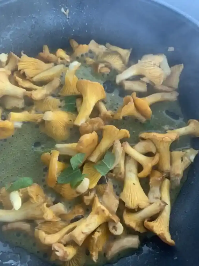 Bild für Pilzrisotto