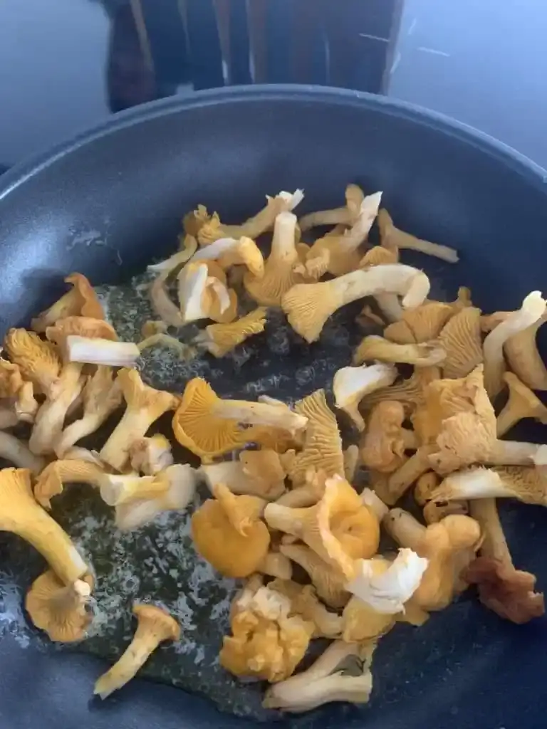 Bild für Pilzrisotto