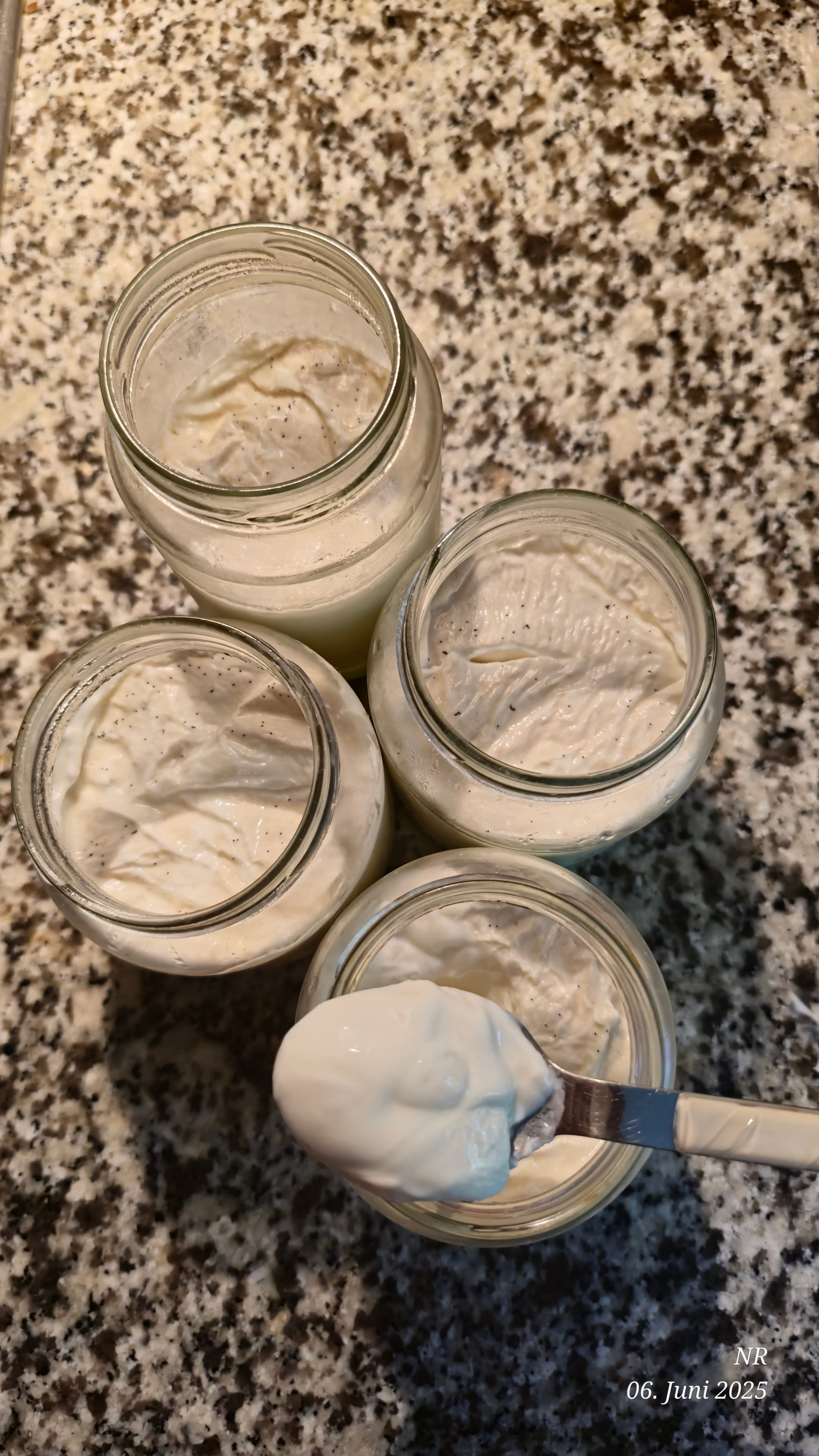 Homemade Vanilla YogurtRecipe Image