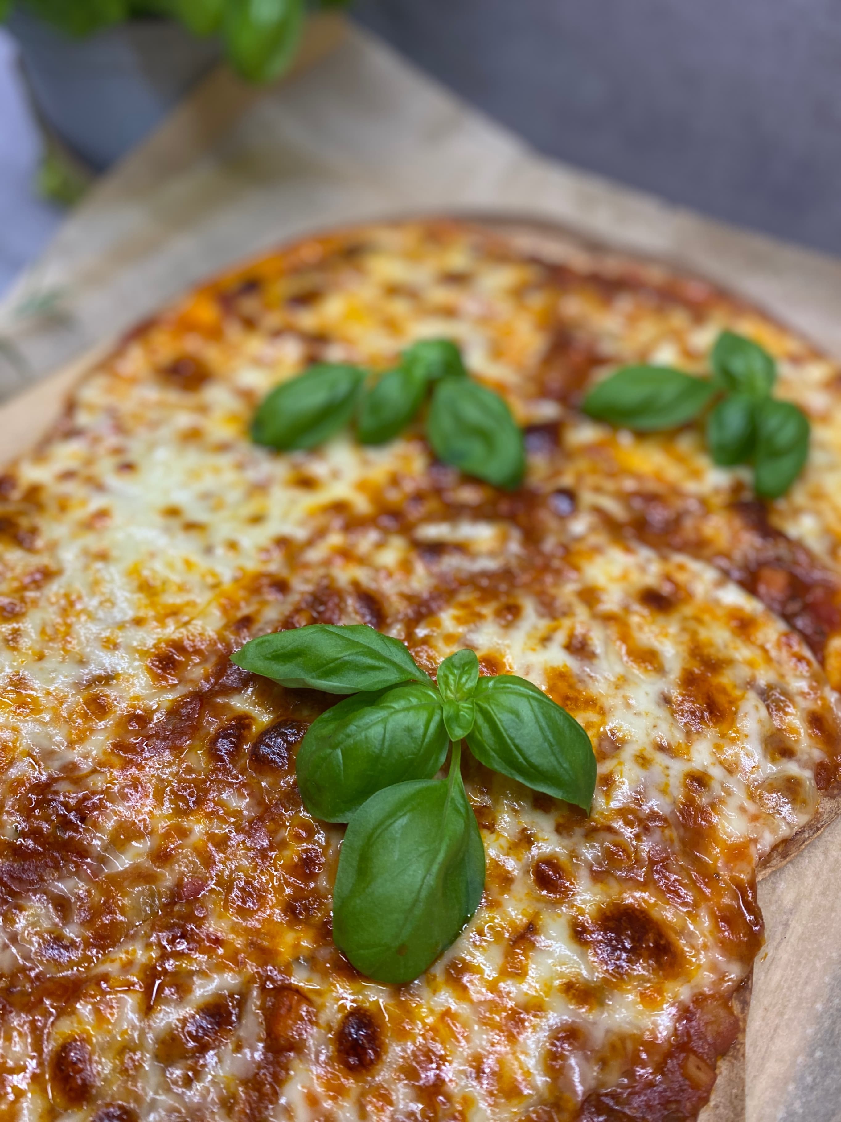 Łatwa pizza ragout z tortillami burrito Recipe Image