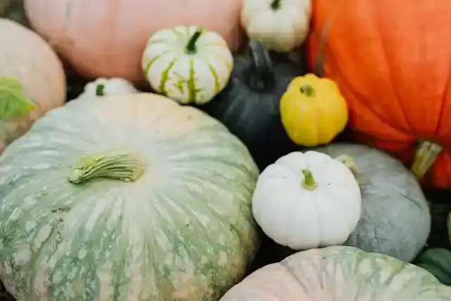 Gefüllter Kürbis aus dem OfenRecipe Image