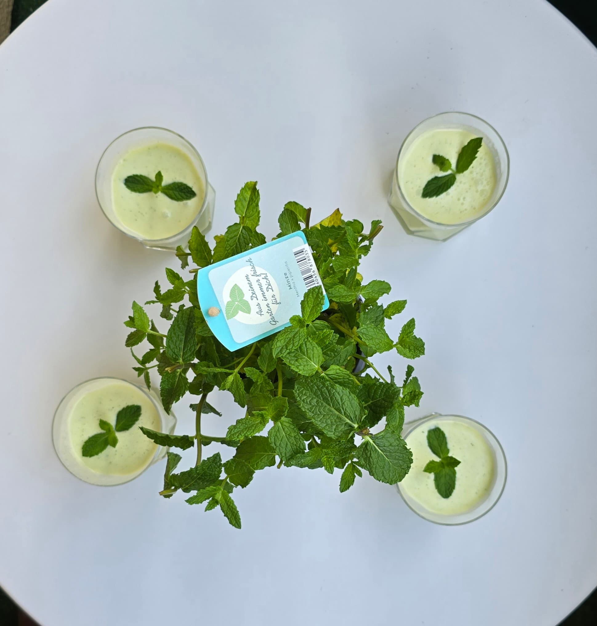 Refreshing Pineapple-Coconut-Mint DrinkRecipe Image